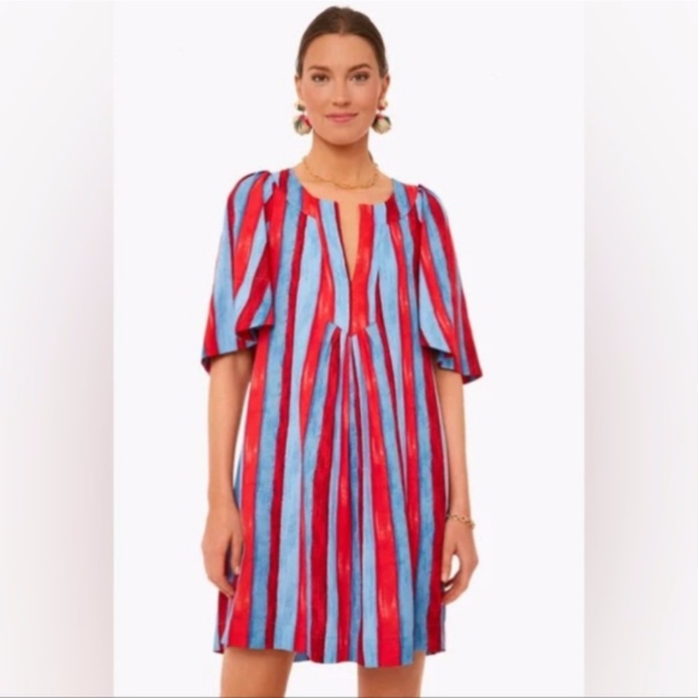 Tuckernuck Pomander Place Painterly Stripe Finley Flutter Sleeve Dress Blue Red